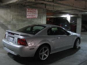 Mustang 3 009.jpg